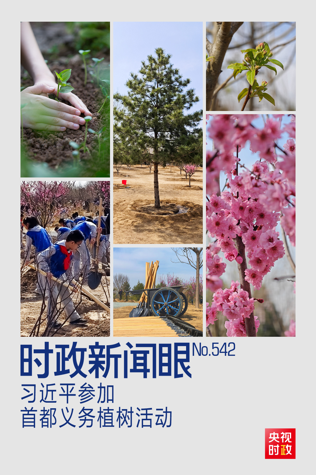 时政新闻眼丨参加首都义务植树活动，习近平为何强调这三个关键词？