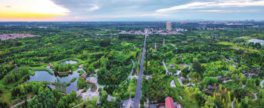 习近平与美丽中国建设丨“深入推进大规模国土绿化行动”——首都干部群众访谈录