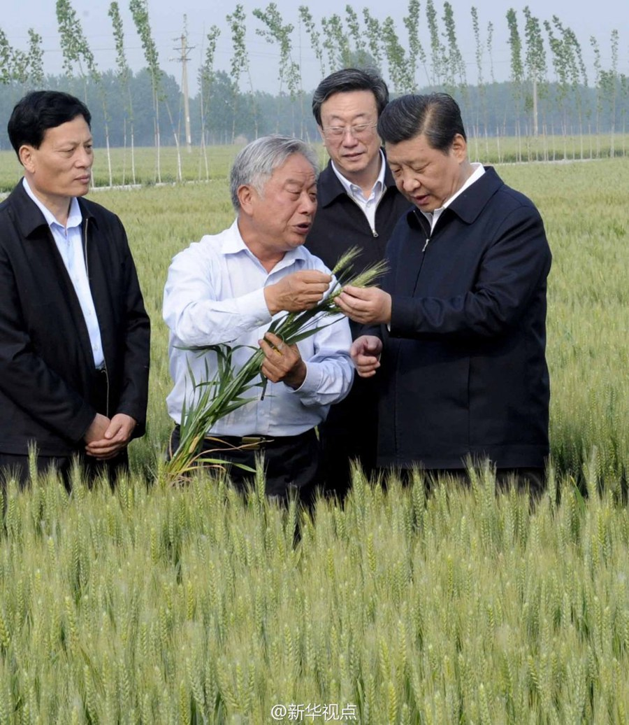 学习进行时｜是贡献，也是奉献——习近平总书记和河南的故事